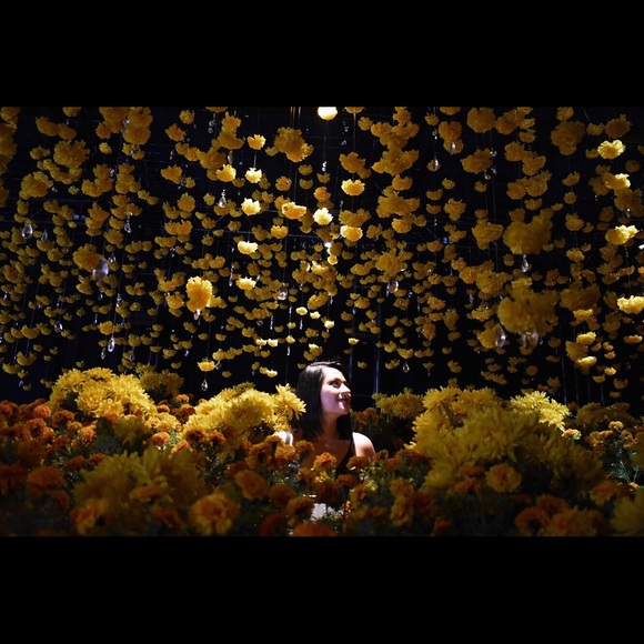 Meet your posher - Picture 3 of 5